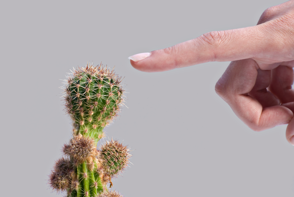 o mână se apropie temător de un cactus, metaforă pentru greșeală și pentru teama de a greși
